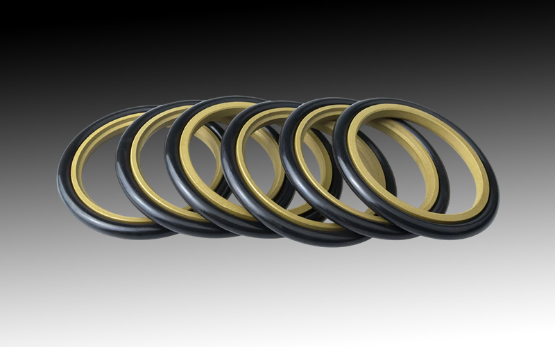 Step Seals
