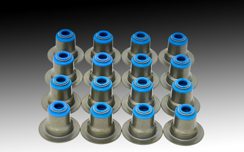 Valve Seals